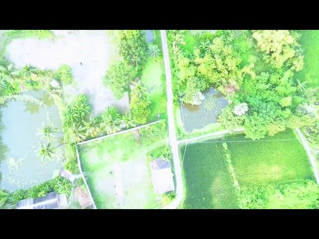 আমার সোনার গ্রাম viral Dron shorts #youtubeshort #youtubevideo #dronshorts #dronevideo #viralvideo