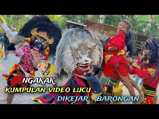 ASLI BIKIN NGAKAK !! KUMPULAN VIDEO LUCU TERBARU  DIKEJAR BARONGAN