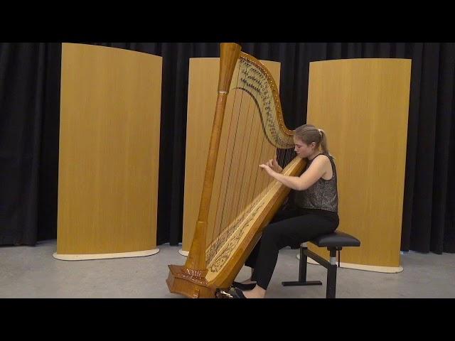 Sonate No 6 part I by Antonio Rosetti // Stien De Neef, Harpist