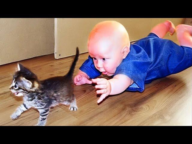 Most Funny Animal and Baby Playing Together - Funny Baby and Pets Video