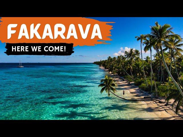 SAILING to FAKARAVA | Scuba diving paradise! [Ep137 RED SEAS]