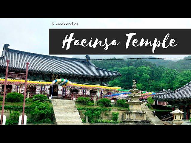 A Weekend with Monks at Haeinsa Temple!