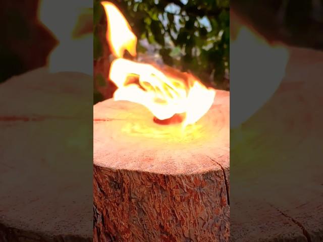 How to make a SWEDISH LOG TORCH #camping #survival #bushcraft #outdoors