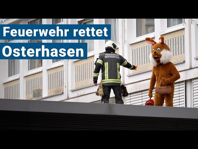 Feuerwehr rettet Osterhasen am Seenland Klinikum Hoyerswerda