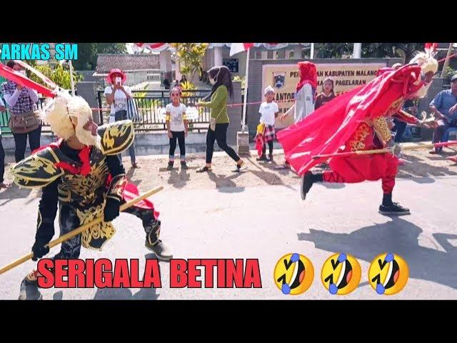 Perform KERA SAKTI | Serigala Betina | Karnaval karangsuko pagelaran 2019