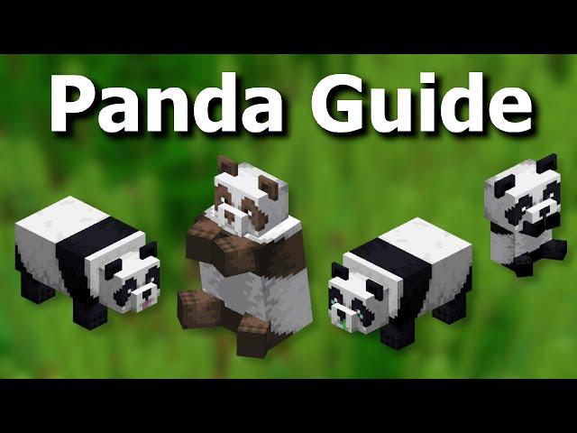 Everything There is to Know About Pandas in Minecraft - Mob Guide