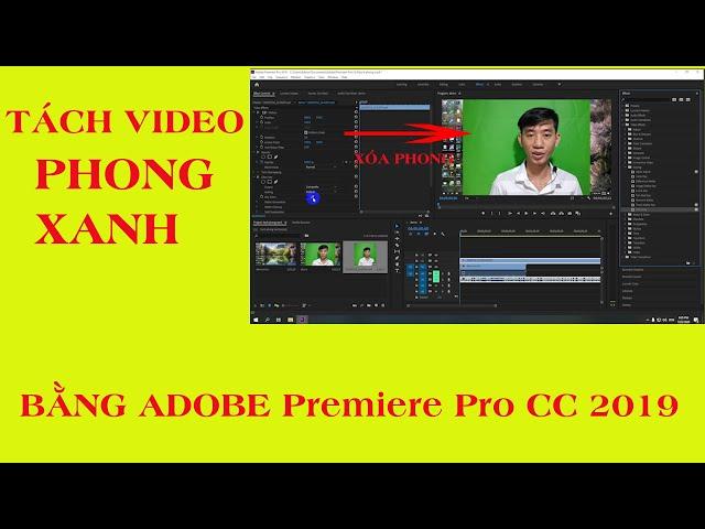 Cách Tách Nền Video Phong Xanh Trong Premiere Pro 2019 