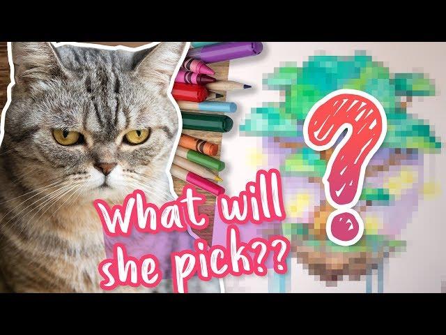 MY CAT PICKS MY ART SUPPLIES  Art Challenge