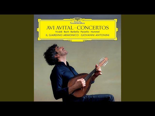 Hummel: Mandolin Concerto in G Major, S. 28 - I. Allegro moderato e grazioso