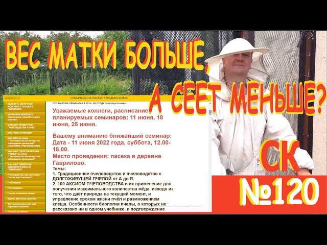 СК-120. Почему роевые матки и тих.смены весят больше свищевой, а расплода дали меньше? Пчеловодство+