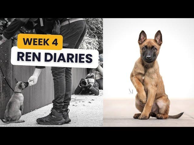 Ren Diaries: Week 4 Major Socialisation + Training Tests