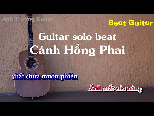 Karaoke Cánh Hồng Phai - Guitar Solo Beat Acoustic | Anh Trường Guitar