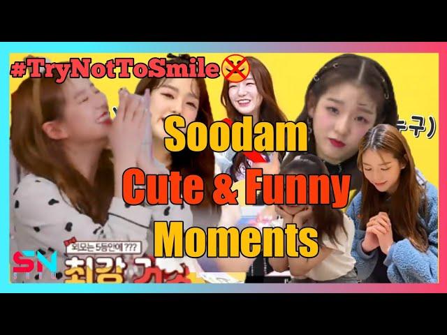 8 minutes of Secret Number Soodam Moments and Try Not to Smile Because of Her Behavior - SN SHOW