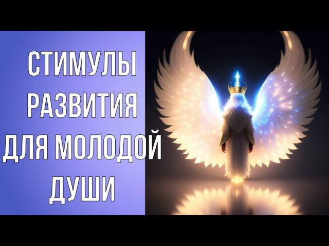 Стимулы развития для молодой души