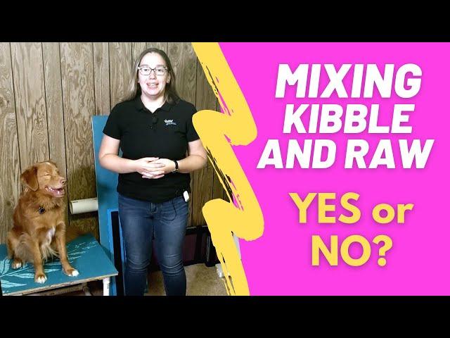 Can you mix kibble and raw dog food together? Yes or No?