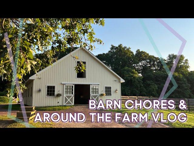 Barn Chores & Hanging Around the Farm • Summer 2024 // EQUESTRIAN VLOG