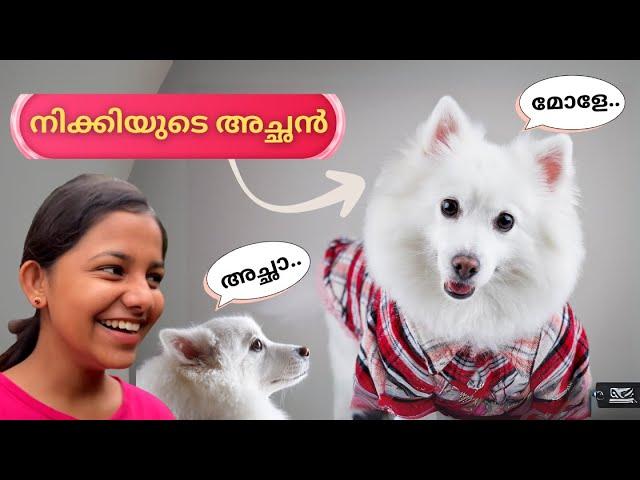 നിക്കിയുടെ അച്ഛനെ ഞങ്ങൾ കണ്ടുപിടിച്ചു | ദേവു ആദ്യമായി രാവിലെ നടക്കാൻ പോയി