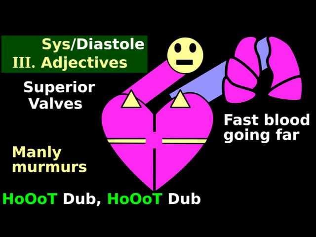 Cardiac Murmur Auscultation: Quick/Easy heart stethoscope identification tutorial