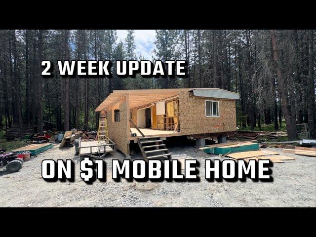 2 Week Update on our $1 Mobile Home