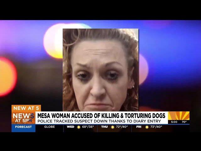 Mesa woman arrested for reportedly killing, torturing dogs