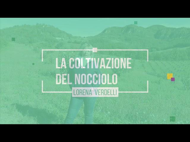 Intervista a tre funzionari ERSAF sulle colture alternative in Lombardia