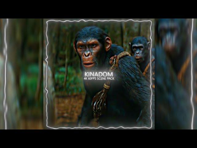 KINGDOM OF THE PLANET OF THE APES | 4K 60FPS TWIXTOR | FREE CLIP FOR EDIT