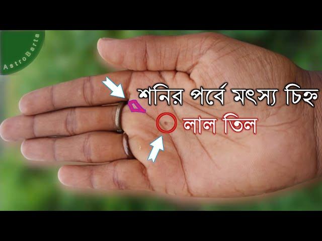 শনি পর্বে মৎস‍্য চিহ্ন | Hater Rekha Bichar | Bangla Jyotish