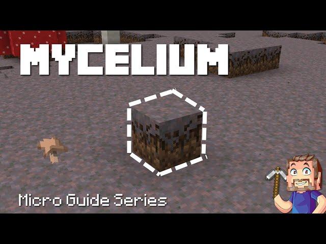 Mycelium - Minecraft Micro Guide