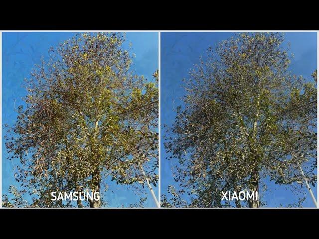 Samsung Galaxy S23 Ultra vs Xiaomi 13 Pro Camera Test