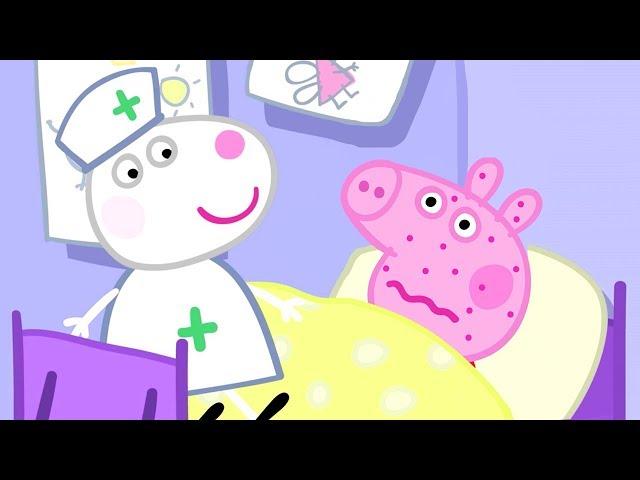 小猪佩奇 | 全集合集 | 1小时 | 第一季15-27集 连续看 | 粉红猪小妹|Peppa Pig | 动画