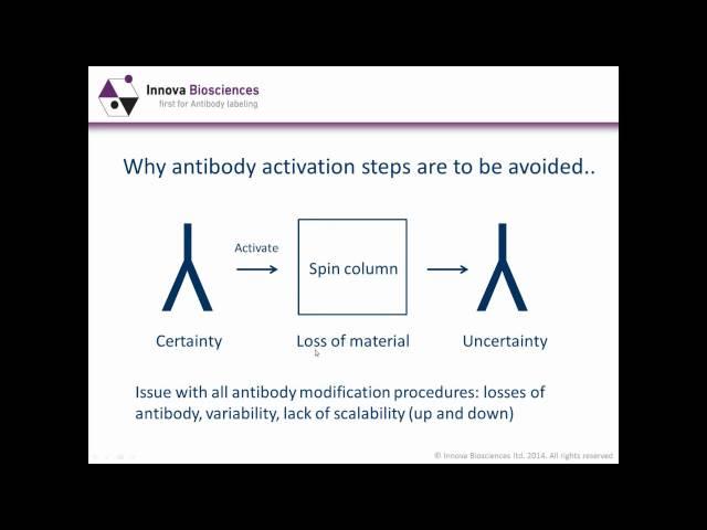 Antibody Labeling Webinar: Antibody conjugation methods - which one is best for you?