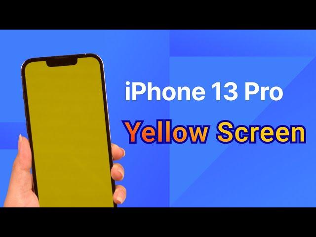 How to Fix iPhone 13 Pro Max Yellow Screen issue | 2025