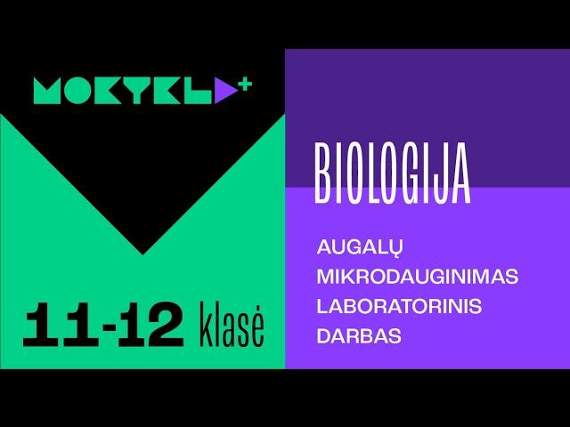 Mokykla+ | Biologija | 11-12 klasė | Augalų mikrodauginimosi laboratorinis darbas  || Laisvės TV X