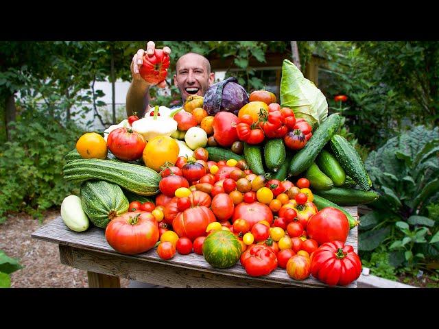 Amazing Summer Garden Harvest, Tomato Yields You Have To See To Believe!