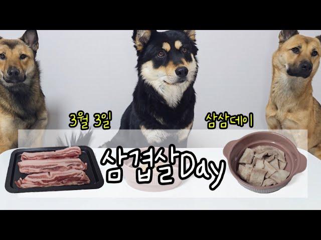 삼겹살 먹방 | 진돗개 | Korean Jindo Dog Mukbang | Pork Belly | Eating Show