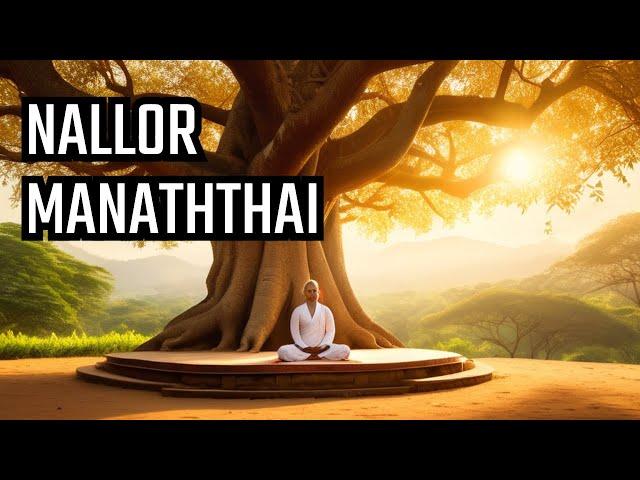 C Sathya Explores Nallor Manaththai in Vallalar's Teachings