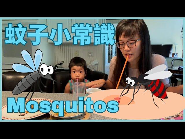 All About Mosquitos in Chinese 你不知道的蚊子 | 兒童科普中文 | 動物中文