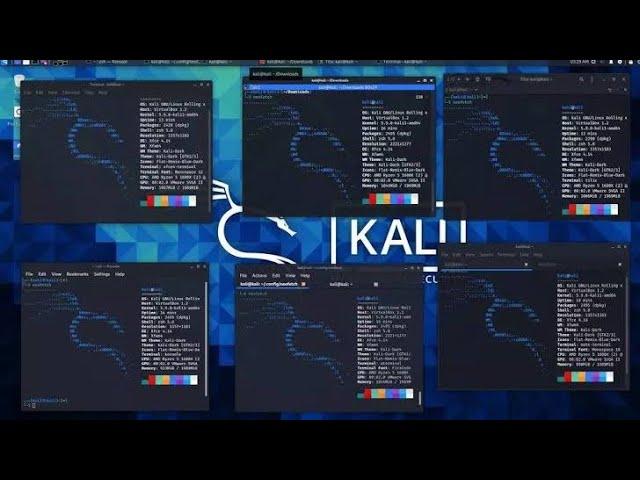 The Top 10 Things To Do After Installing kali linux on your computer