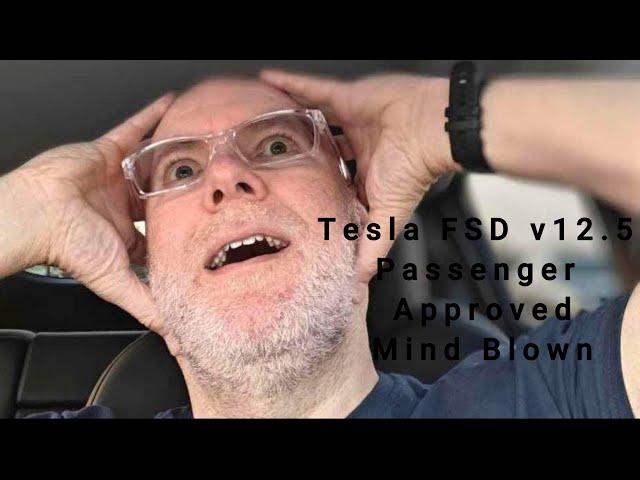 1st Drive Tesla FSD v12.5 Part 1