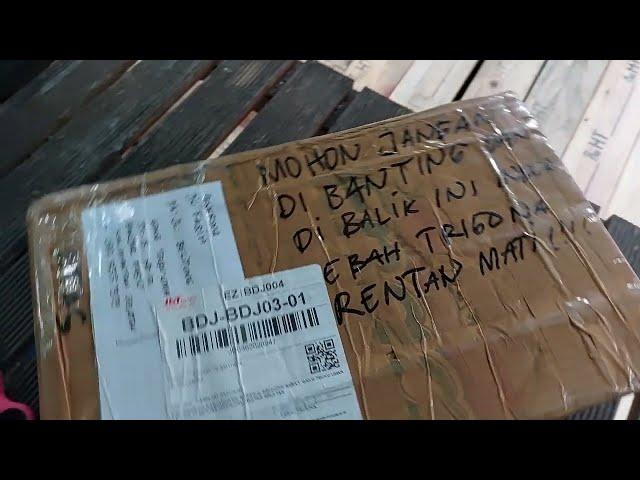 UNBOXING 14  JANUARI 2024 KELULUT CLYPEARIS DARI BANG EMY PETUALANG NTB 