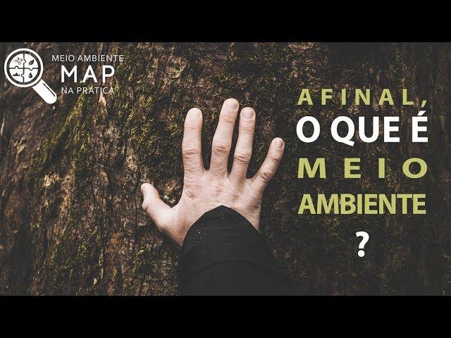 Afinal, o que é Meio Ambiente?