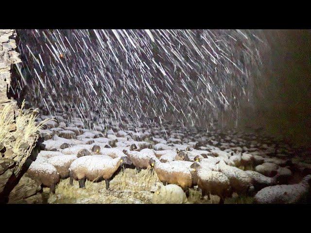 NIGHT AND SNOW STORM - I'M SHELTERING BY LIVING AT THE BOTTOM OF THE ROCK