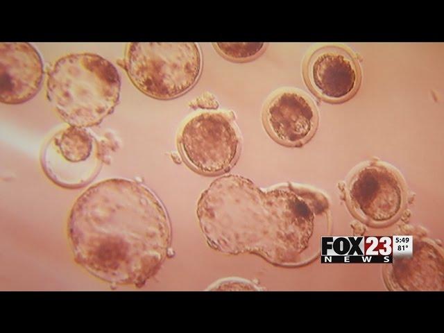 How risky is egg donation? | FOX23 News Tulsa