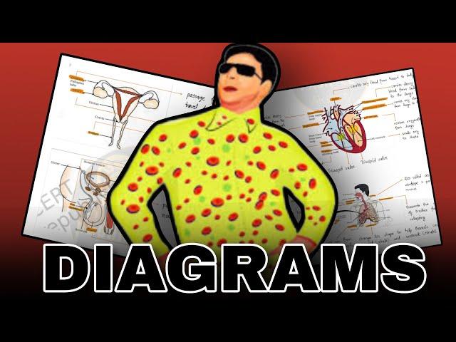 Don’t miss class 10  Science DIAGRAMS based QUESTIONS class 10 boards 2023