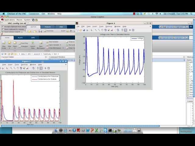 Introduction to Computational Modeling: Hodgkin Huxley Simulations