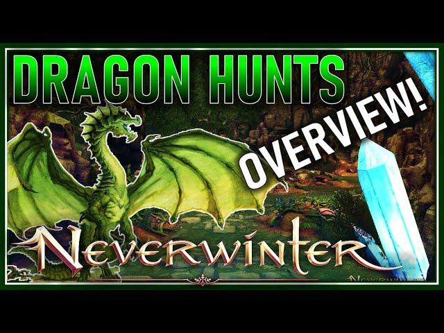 DRAGON HUNTS Made SIMPLE! All You SHOULD Know! System Overview - Neverwinter Preview M23