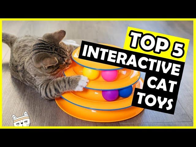 TOP 5: Best Interactive Cat Toys for Cats Home Alone of 2025