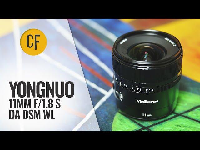 Yongnuo 11mm f/1.8 S DA DSM WL lens review