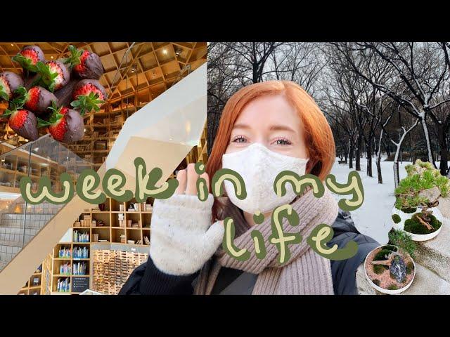 a week of my life in seoul, korea VLOG | libraries, snow, and my apartment