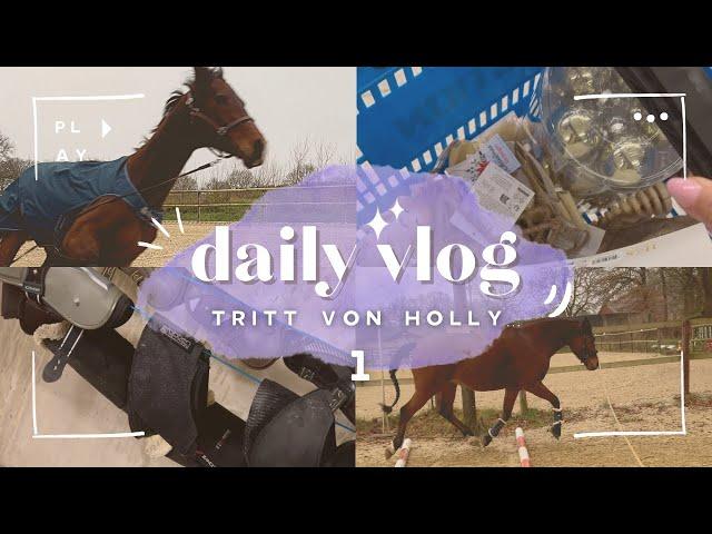 Tritt von Holly… | BinieBo Story Vlog 1